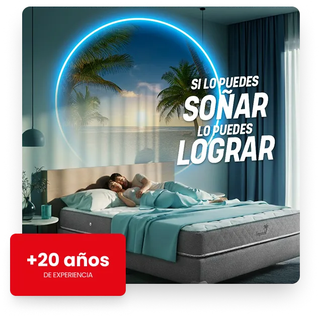 Si lo puedes soñar lo puedes lograr